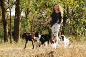 woman walking dogs to earn extra money